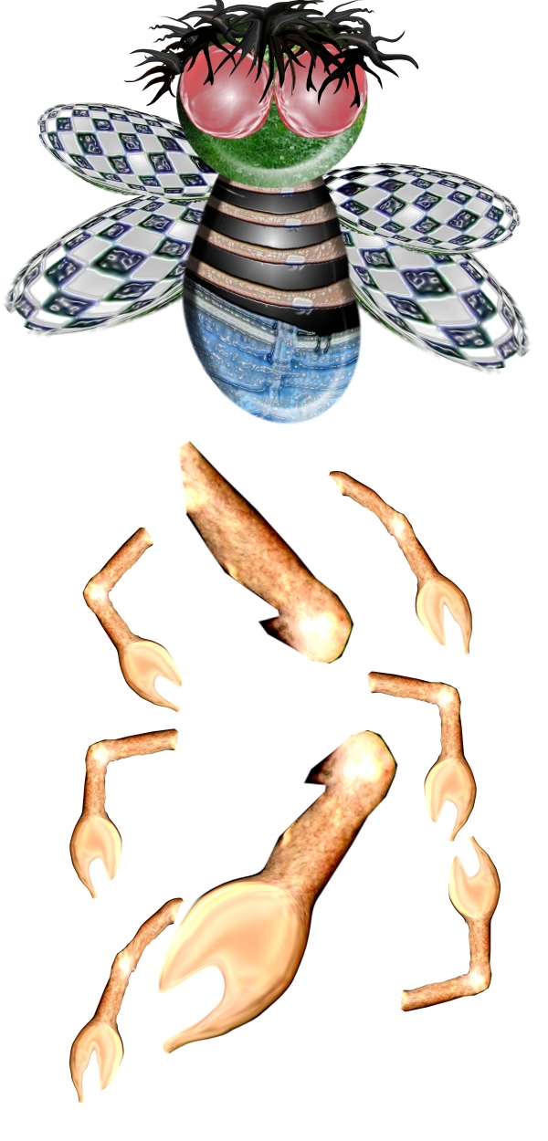 Creation of ZZub: Step 4